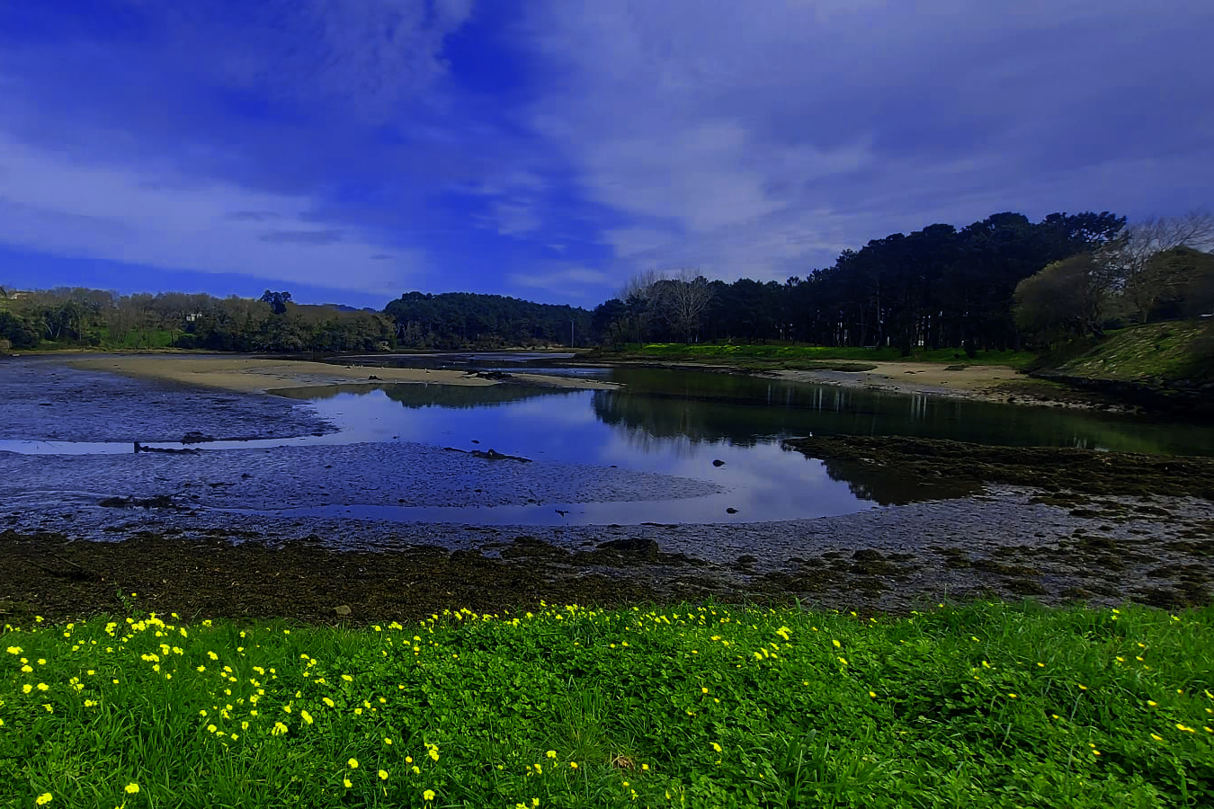 Esteiro do río Coroño