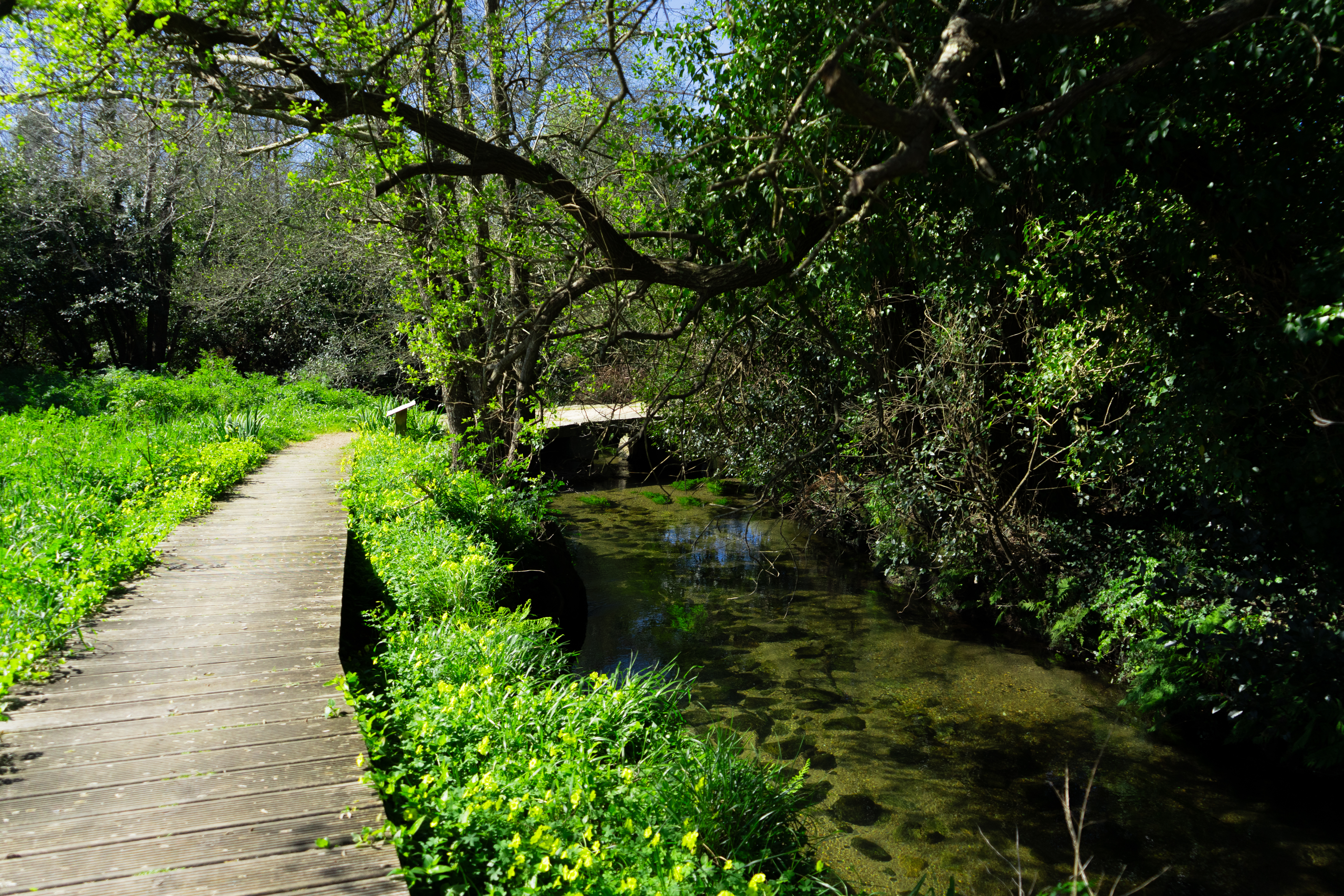 Paseo fluvial do río Artes