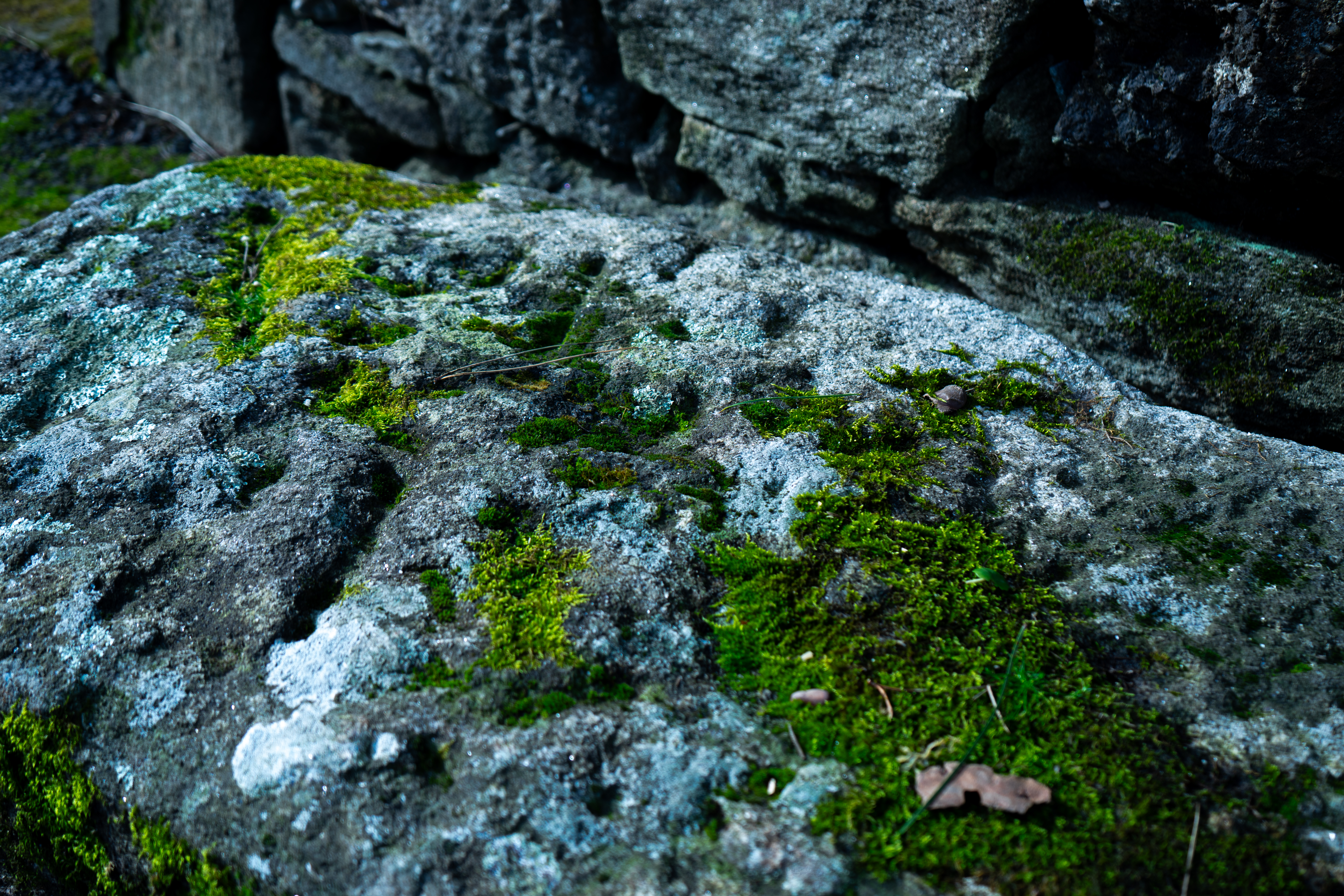 Petróglifo en Rianxiño