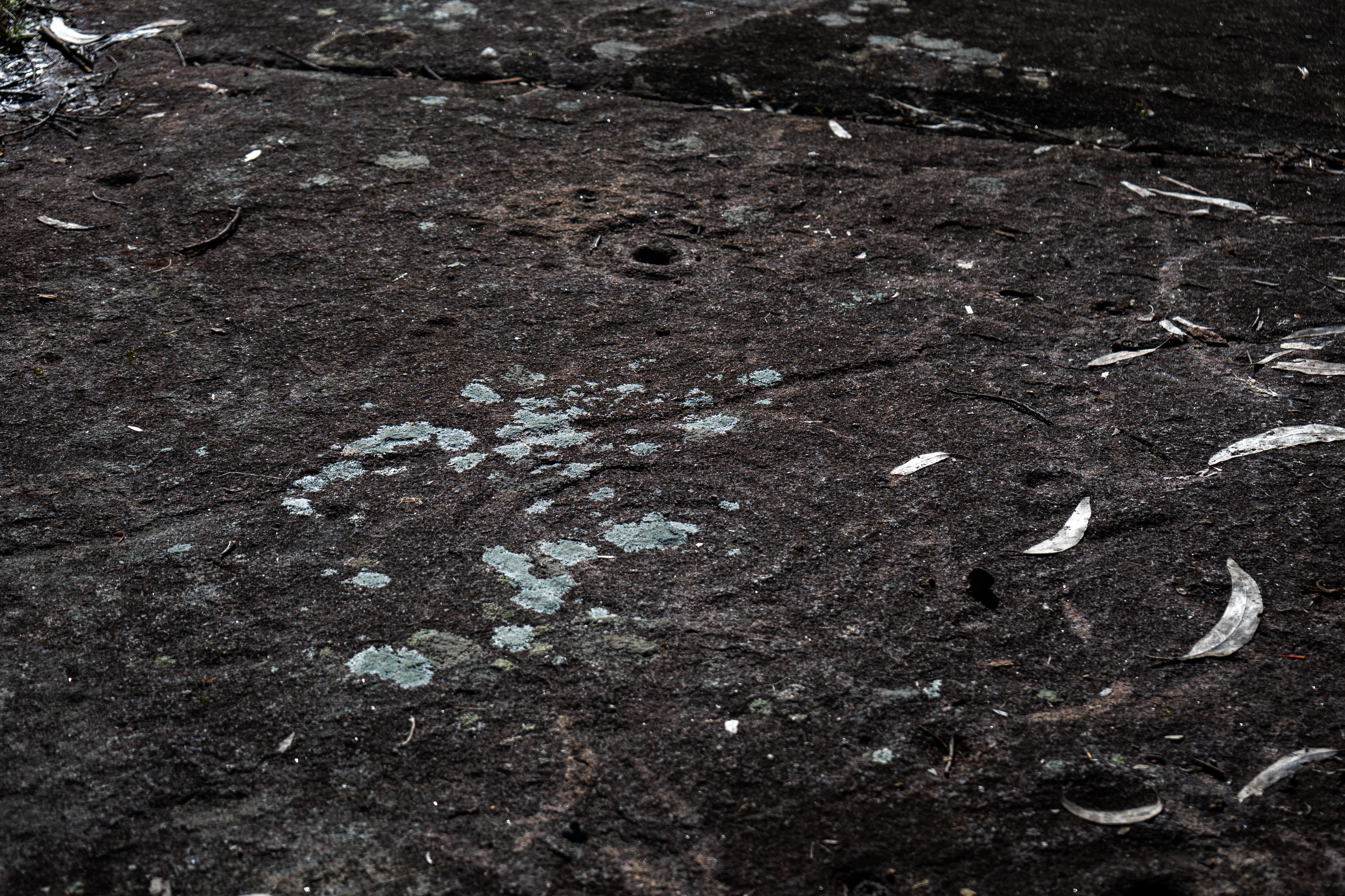 Petróglifos A Foxa Vella