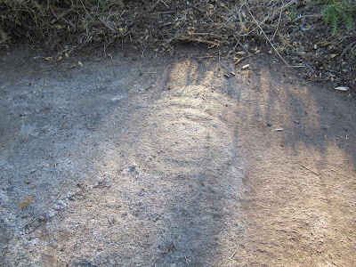 Petróglifos Os Campos