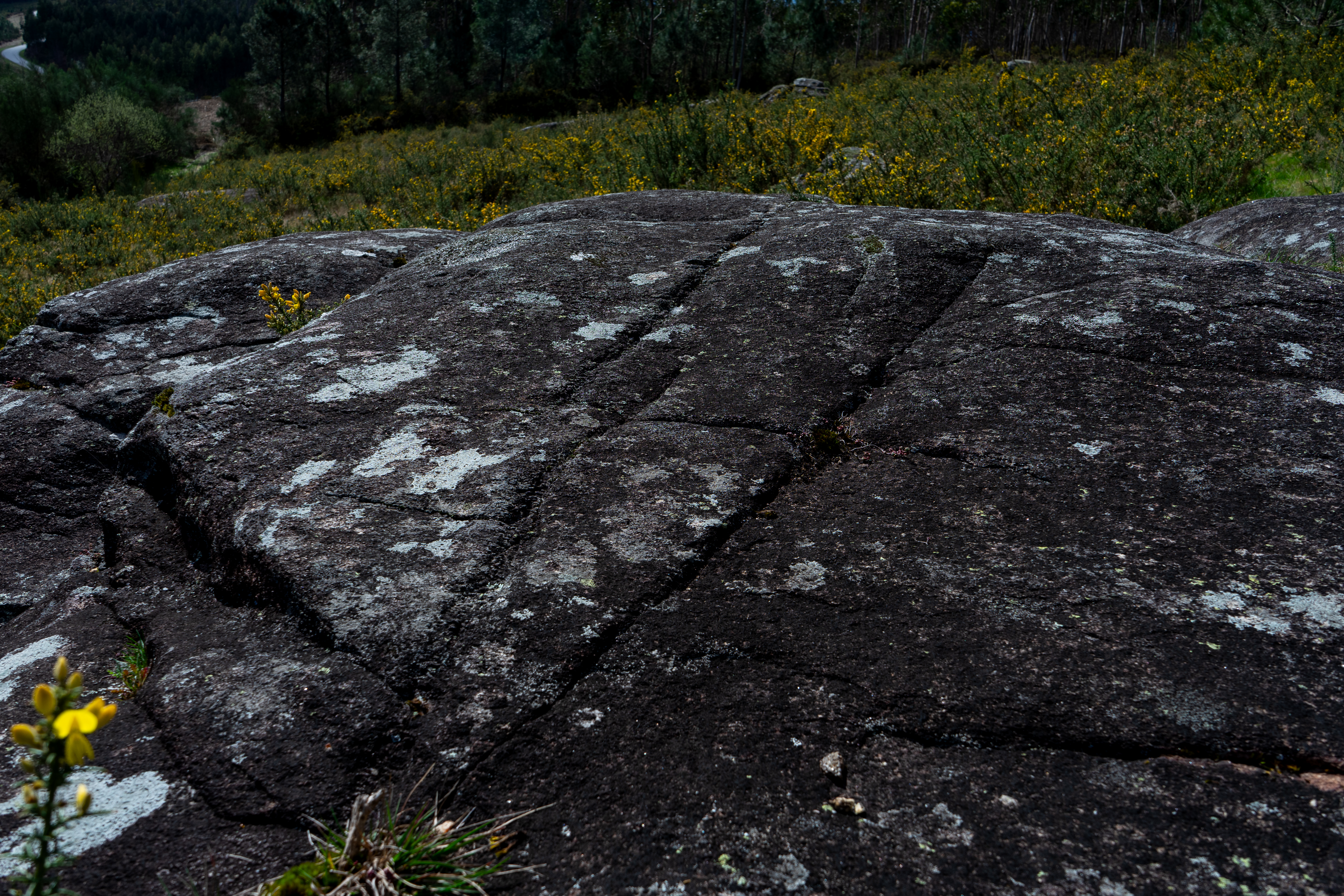 Petróglifos Monte Pelotiño