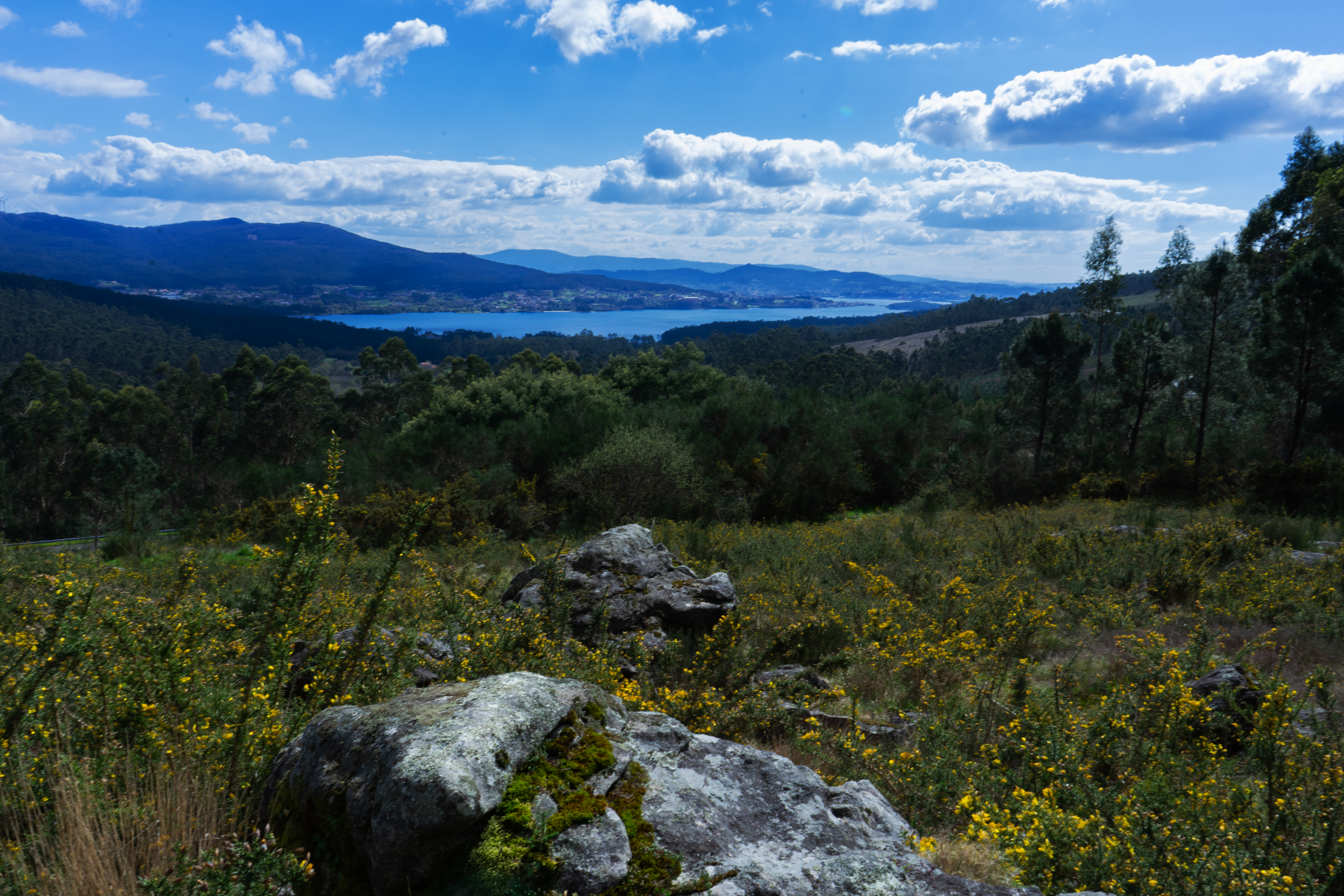 Petróglifos Monte Pelotiño