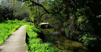 Paseo fluvial do río Artes