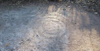 Petróglifos Os Campos