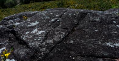 Petróglifos Monte Pelotiño